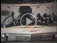 White Lightning Impala 65  Melitta-rakan
